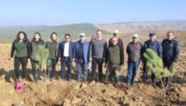 KINIK’TA FİDANLAR TOPRAKLA BULUŞTU