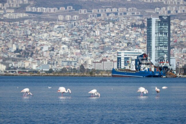 İzmir’in iklim krizi ile mücadelesi güçleniyor