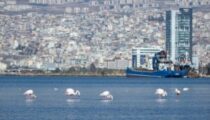 İzmir’in iklim krizi ile mücadelesi güçleniyor