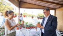Kültürpark çiçek açtı