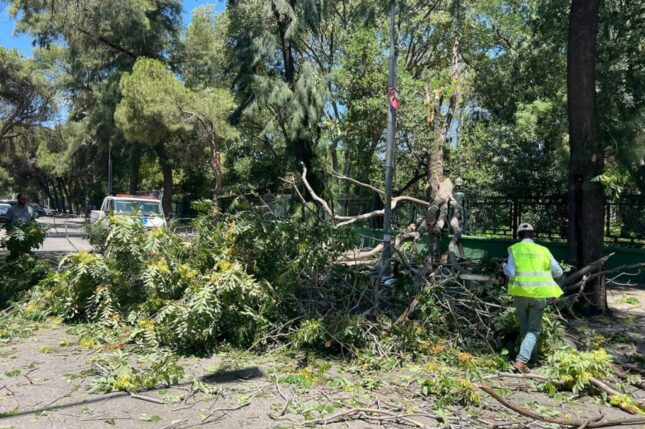 İzmir’de yangın ve fırtına teyakkuzu