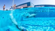 İzmirlilerin gözdesi Mavi Bayraklı İzmir Marina