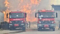 Bornova Gökdere’de yangınla mücadele sürüyor