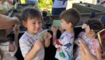 Miniklere doğadan sofraya tarım eğitimi