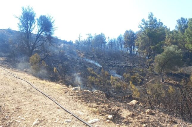 Buca ve Aliağa’da çıkan yangınlar kontrol altına alındı